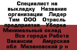 Специалист на выкладку › Название организации ­ Лидер Тим, ООО › Отрасль предприятия ­ Уборка › Минимальный оклад ­ 28 050 - Все города Работа » Вакансии   . Амурская обл.,Мазановский р-н